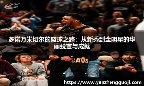 多诺万米切尔的篮球之路：从新秀到全明星的华丽蜕变与成就